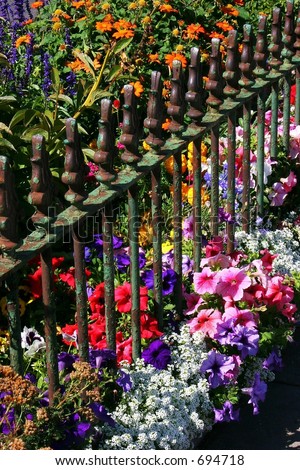 flowers & wrought-iron fence