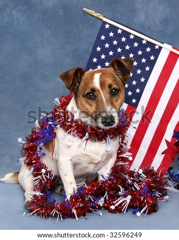 Cute little Jack Russell dog with USA flag and garland 4th of July theme