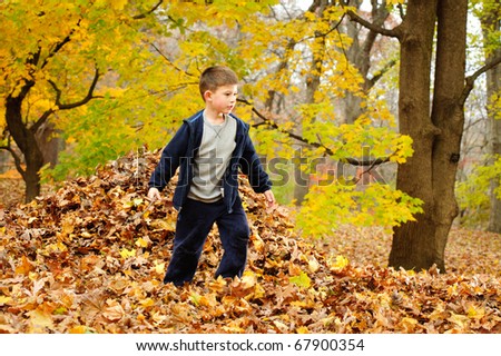 A boy plays in a pile of leaves in horizontal