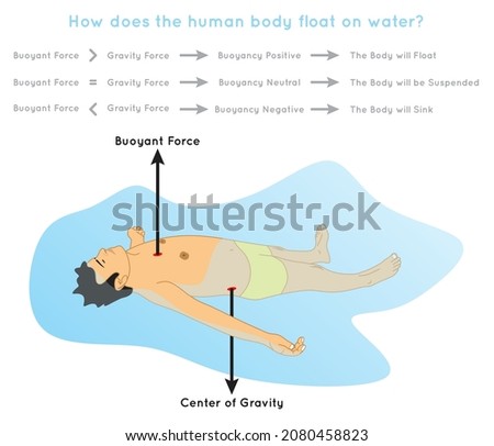 How does Human Body Float on Water Infographic Diagram showing buoyant force center of gravity and gravitational force if buoyancy positive then float otherwise sink for physics science education