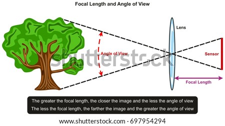 Focal Length and Angle of View infographic diagram showing relation between them with an example of tree in front of lens and sensor for photography and physics science education