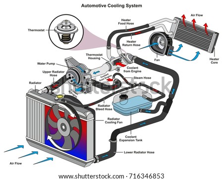 Automotive Cooling System infographic diagram showing process and all parts included radiator hoses coolant flow thermostat fan tank and air flow for mechanic and road traffic safety science education