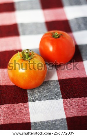 Fresh harvest tomatoes on checked table cloth. Selective focus, soft focus and shallow depth of fields
