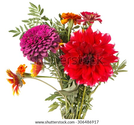 bouquet of garden flowers isolated on white background
