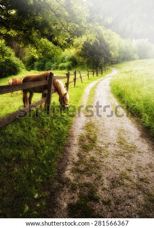 Horse grazing in mountain landscape