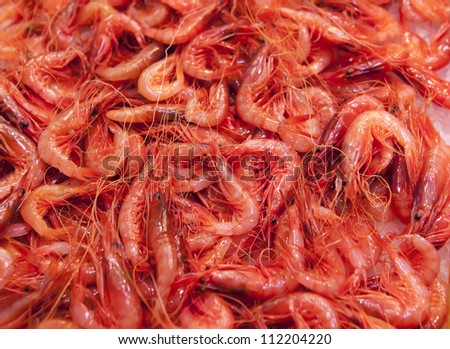 Shrimp. Scampi in the fish market.