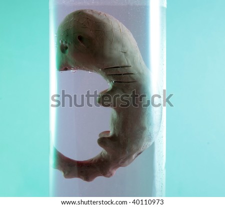 Cloned Human Embryos In A Test Tube Stock Photo 40110973 : Shutterstock