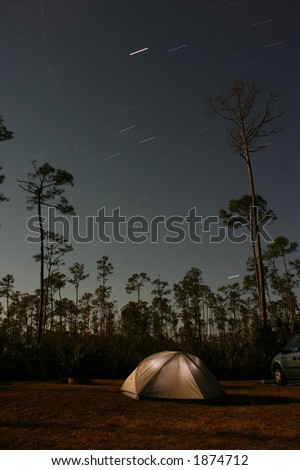 Star movements across night sky with tent and slash pine tree (Pinus elliottii densa) silhouettes, Everglades National Park Pinelands, Florida