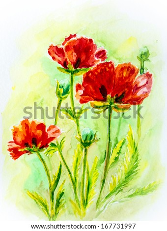 Poppies on green, watercolor painting