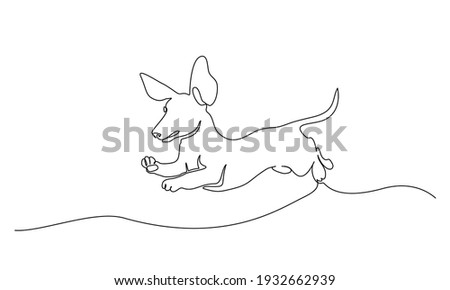 Dachshund dog running design silhouette. Continuous one line drawing. Hand drawn minimalism style vector illustration 商業照片 © 