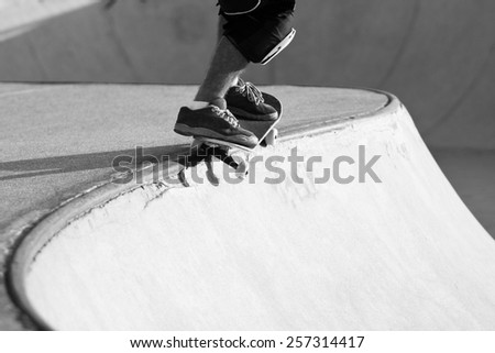 Skate Bowl