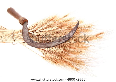 bunch of mown wheat ears with vintage handmade reaper hook sickle isolated on white background ストックフォト © 