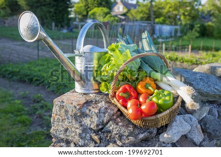 Basket of fresh vegetables placed on a wall, garden in background