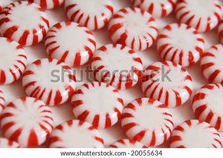 Faux Peppermint Candy Cupcake Toppers - Studio DIY