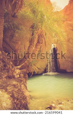 Canyons - Oasis of Nefta, Chebika, Sahara. Tunisia. Filtered image:cross processed vintage effect.