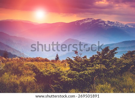 Colorful sunset in the mountains landscape. Dramatic overcast sky. Filtered image:cross processed vintage effect.