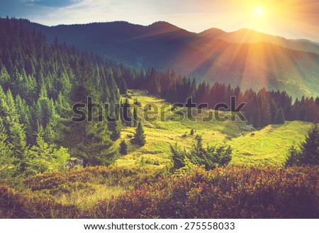 Mountain forest landscape under evening sky with clouds in sunlight. Filtered image: Soft and vintage effect.