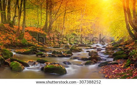 Landscape mountain river in autumn forest at sunlight. Fast jet of water at slow shutter speeds give a beautiful magic effect.