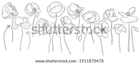 Similar – Foto Bild Klatschmohn. Blühende Mohnblumen  und Mohnkapseln