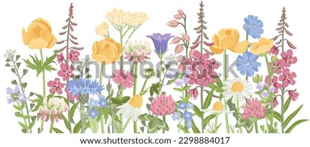 Similar – Image, Stock Photo Flowering field with tansy and various flowering plants as an insect paradise, in the background an old building and trees
