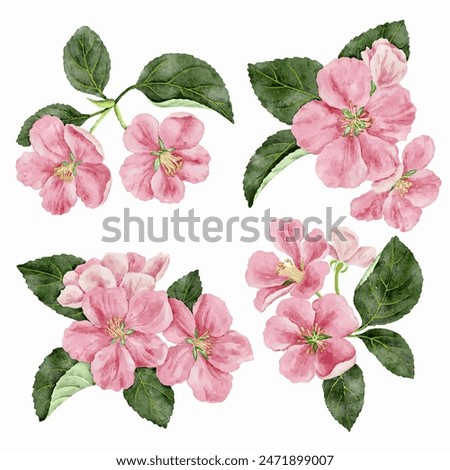 Similar – Image, Stock Photo Apple blossoms in beautiful light