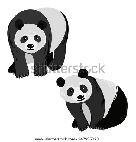 vector drawing panda bear, cartoon animal isolated at white background, hand drawn illustration