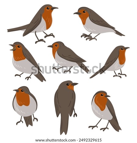 vector drawing bird, european robin, hand drawn Erithacus rubecula, isolated nature design element