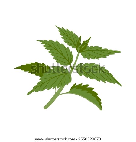 Similar – Image, Stock Photo Nettle as background