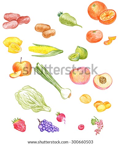 vector set of food drawing by color pencil, doodle spices, fruits and berries, hand drawn vector elements