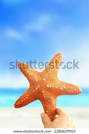 Hand holding a starfish on the sea