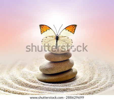 Butterfly and stones balance