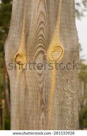 Funny wood texture with knots