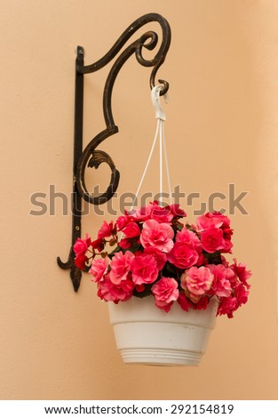a pot of flowers hangs on the wall hanger