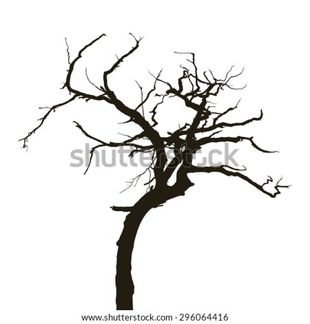 Curved Silhouette Dry Tree Isolated On White Background Stock Photo ...