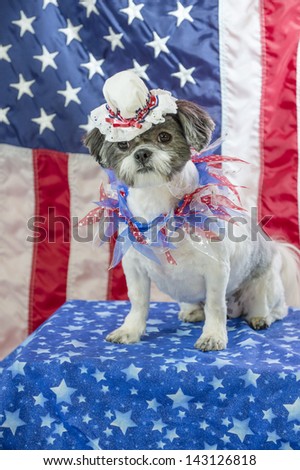 A shih tzu dog wearing a Betsy Ross bonnet poses in front of an American flag