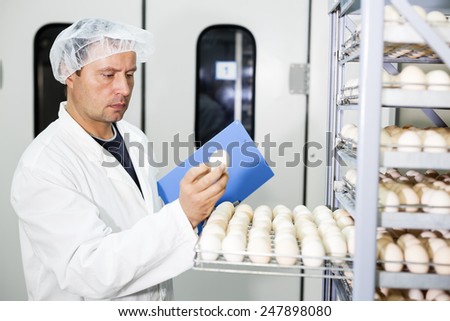 Farmer controls chicken eggs in incubator.Shallow doff