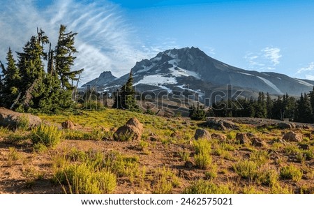 Similar – Image, Stock Photo The timberline Forest