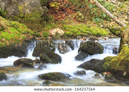 mountain waterfall. fast stream water in the Transylvania