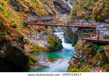 Similar – Image, Stock Photo Vintgar Gorge wooden path and beautiful Radovna river