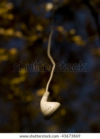 A single dirty white earphone hanging from a tree with yellow leaves.