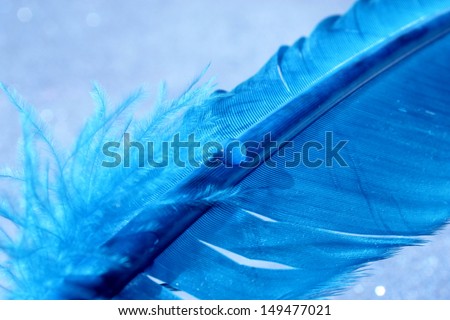 A pretty blue feather with a sparkling background