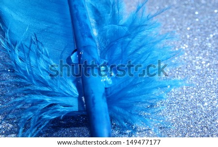 A vibrant blue feather with a clear water drop