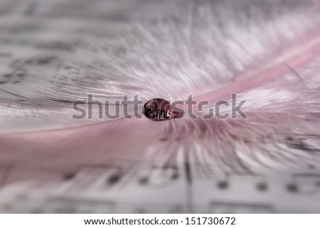 A delicate pink feather with a clear water drop on top of sheet music