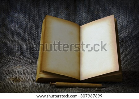 Old opened book with empty pages