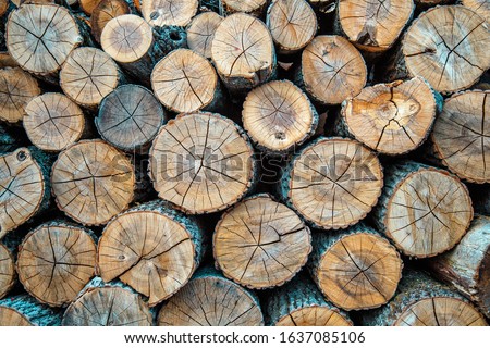 Shutterstock Puzzlepix