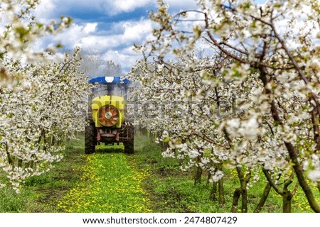 Similar – Image, Stock Photo Apple orchard with protective nets in summer