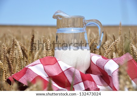 Jug of milk against wheat field