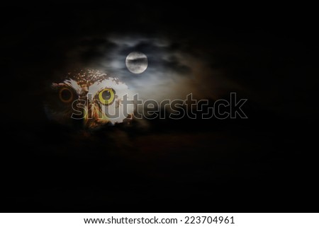 Owl and full moon in the night for halloween background.