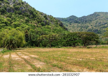 Vacant land from farming.Clearing land adjacent to mountains