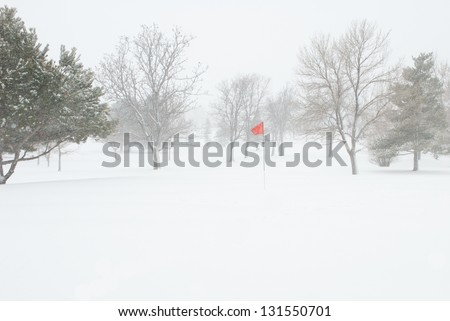 Golf Pin Red Flag Blowing in a Snow Storm